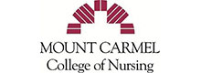 mount carmel college nursing2