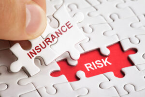 Insurance and risk pieces of the puzzle